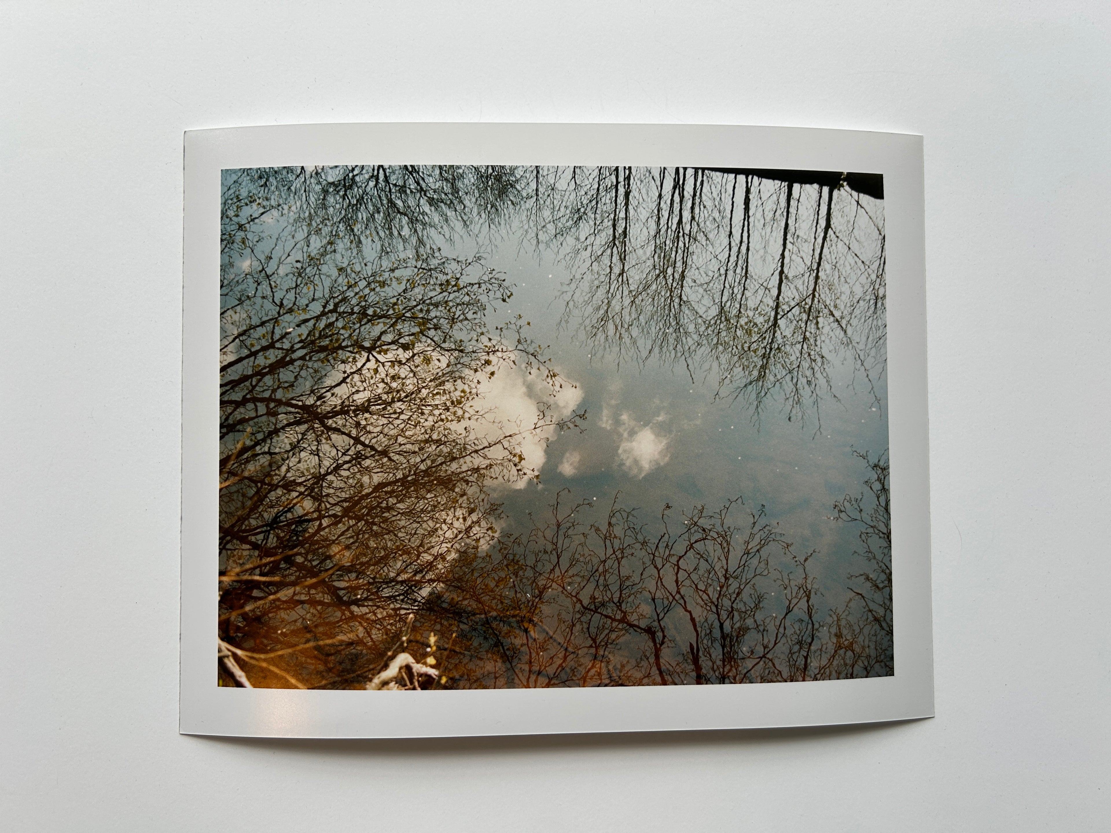 'Reflection' Darkroom Print