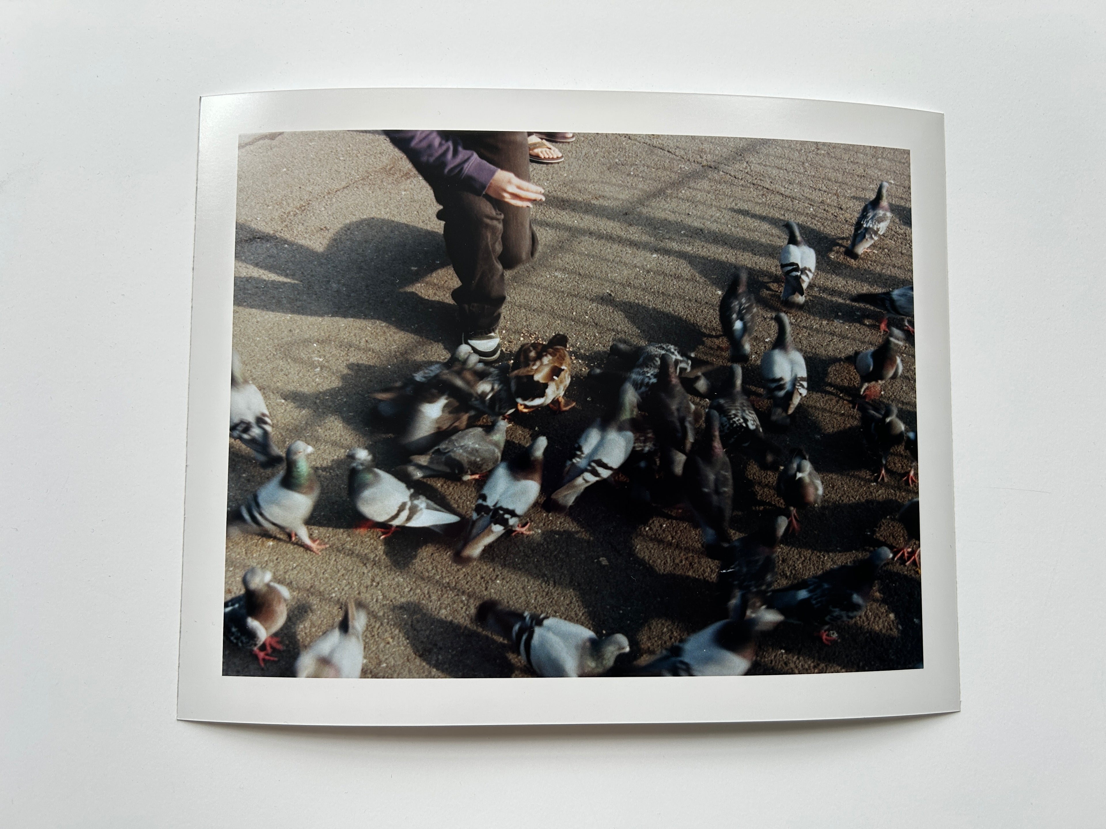 'Pigeons' Darkroom Print