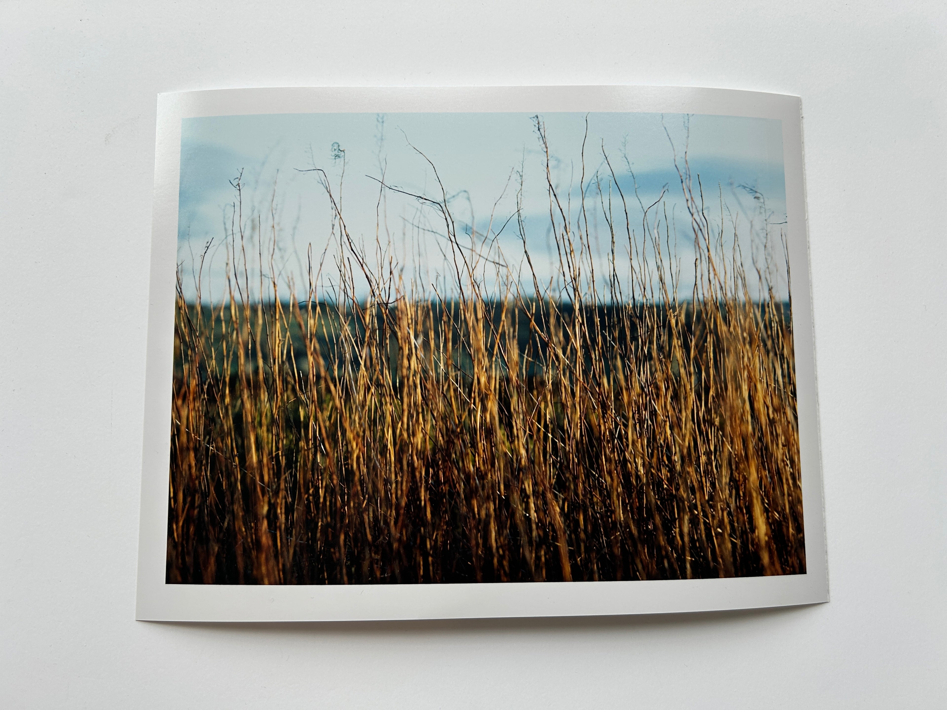 'Haworth Moors, Golden Hour' - Darkroom Print