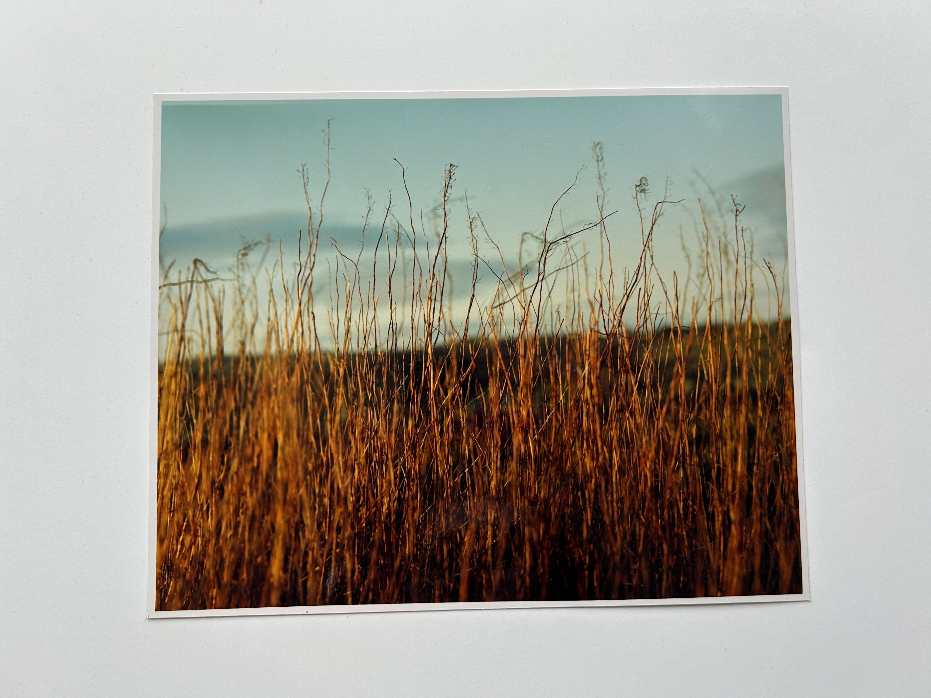 'Haworth Moors, Golden Hour' - Darkroom Print