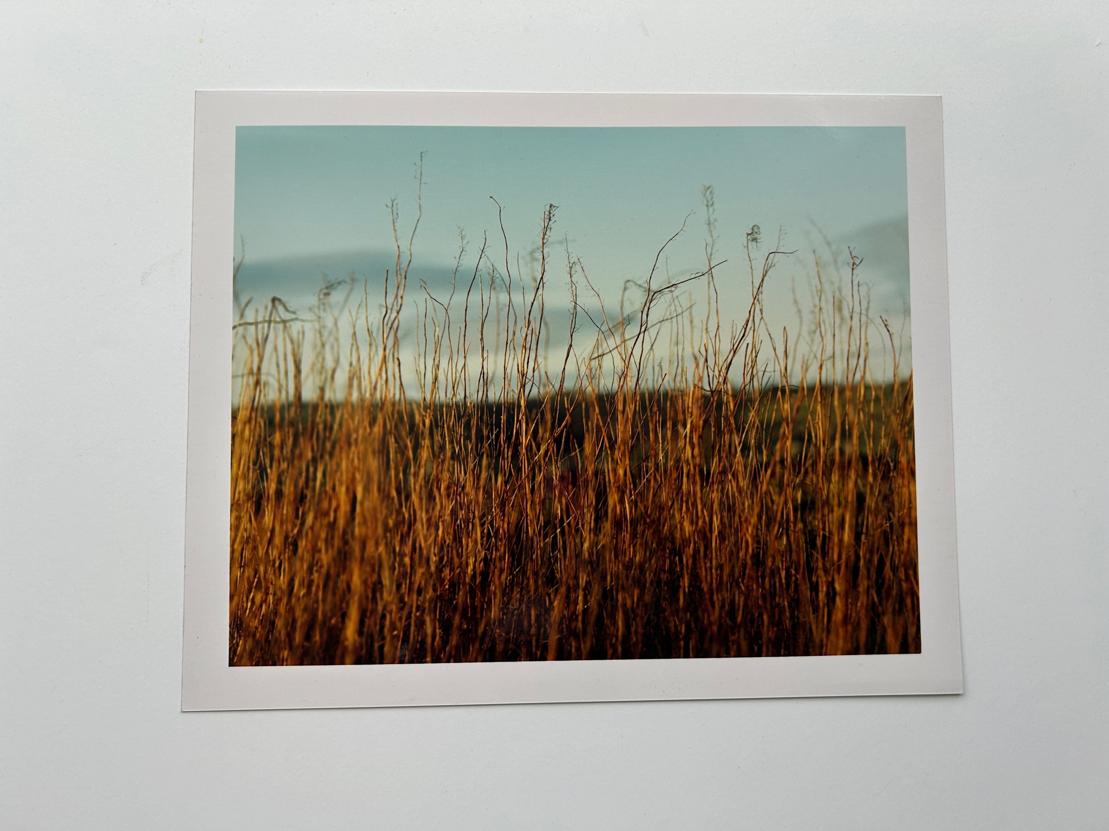 'Haworth Moors, Golden Hour' - Darkroom Print