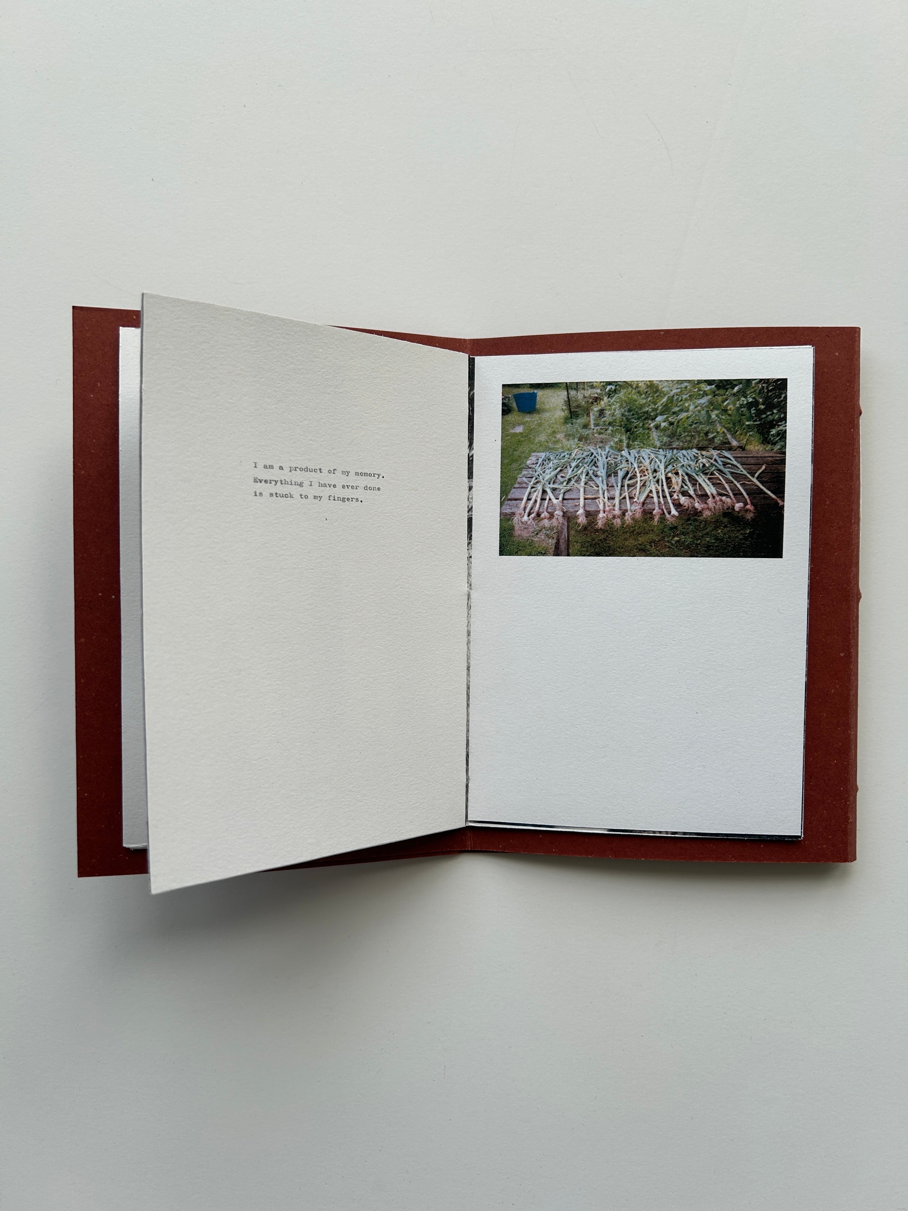 'We Move Slowly in the Mornings' Finalised Publication