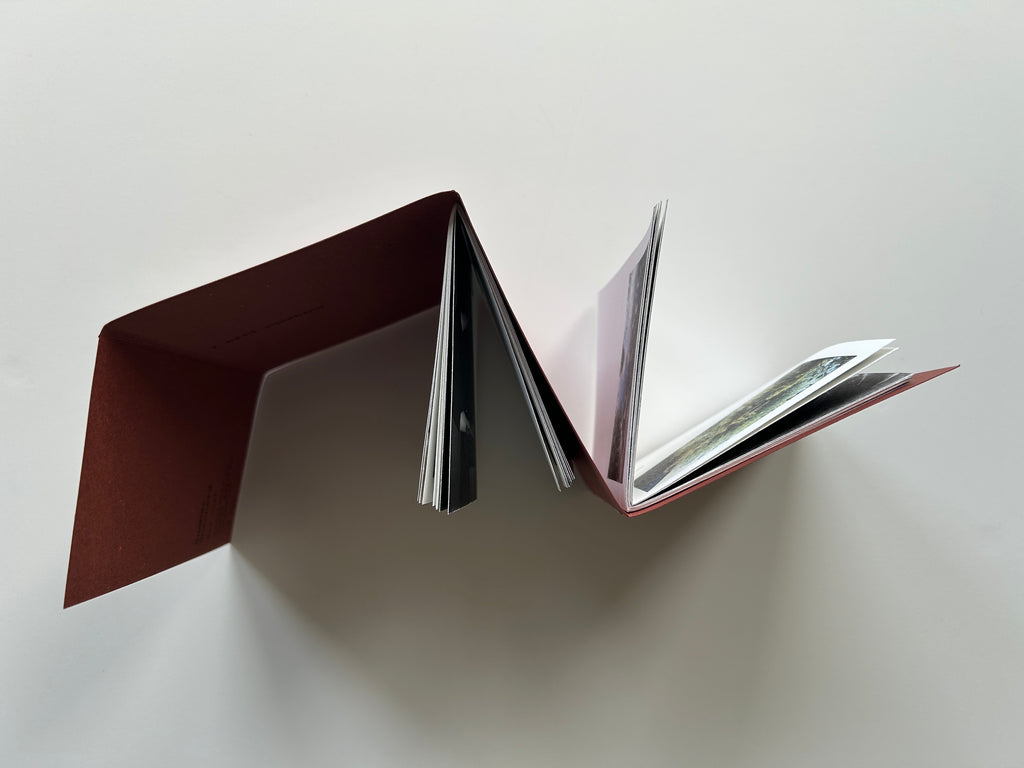 'We Move Slowly in the Mornings' Finalised Publication