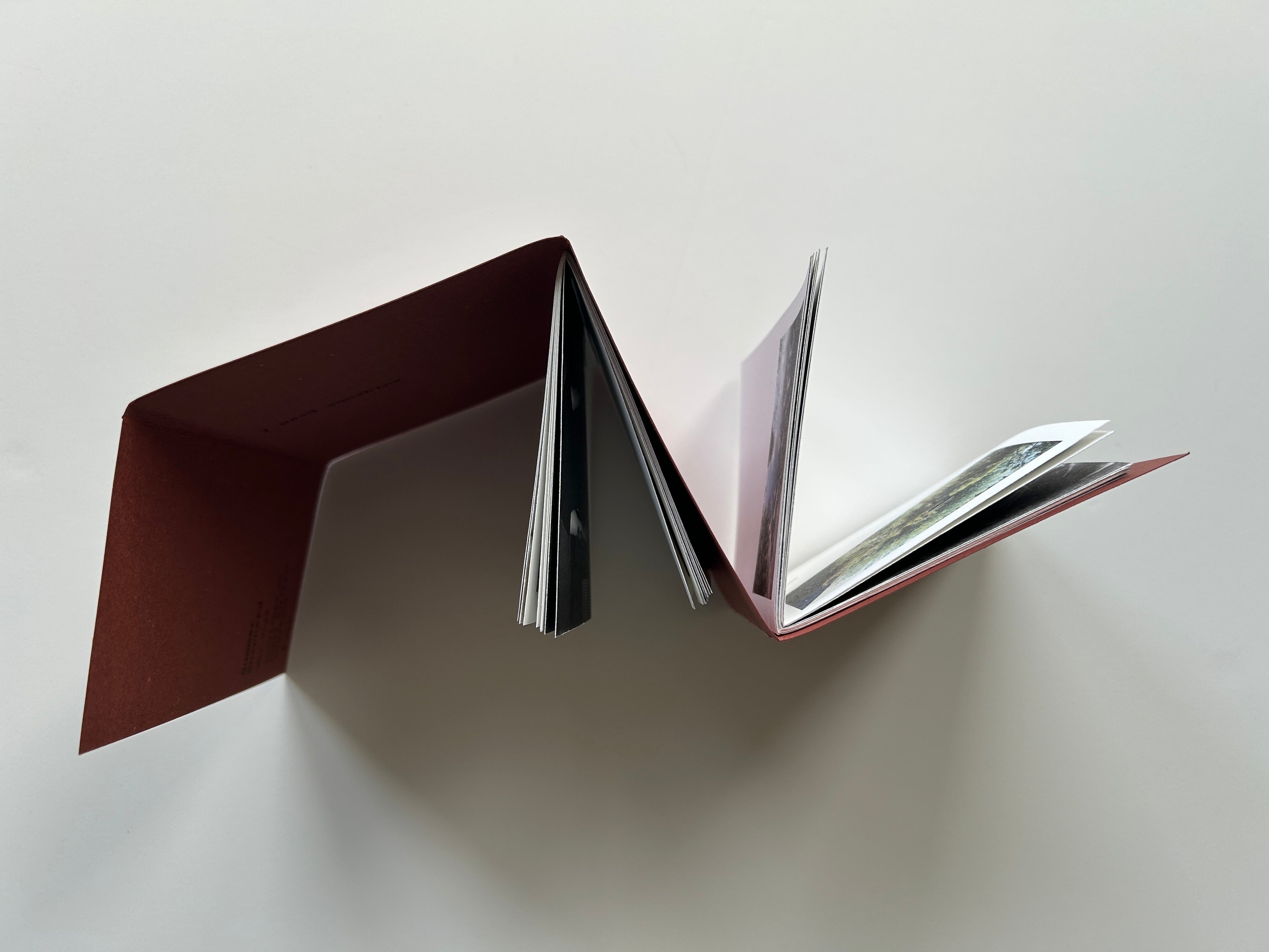 'We Move Slowly in the Mornings' Finalised Publication