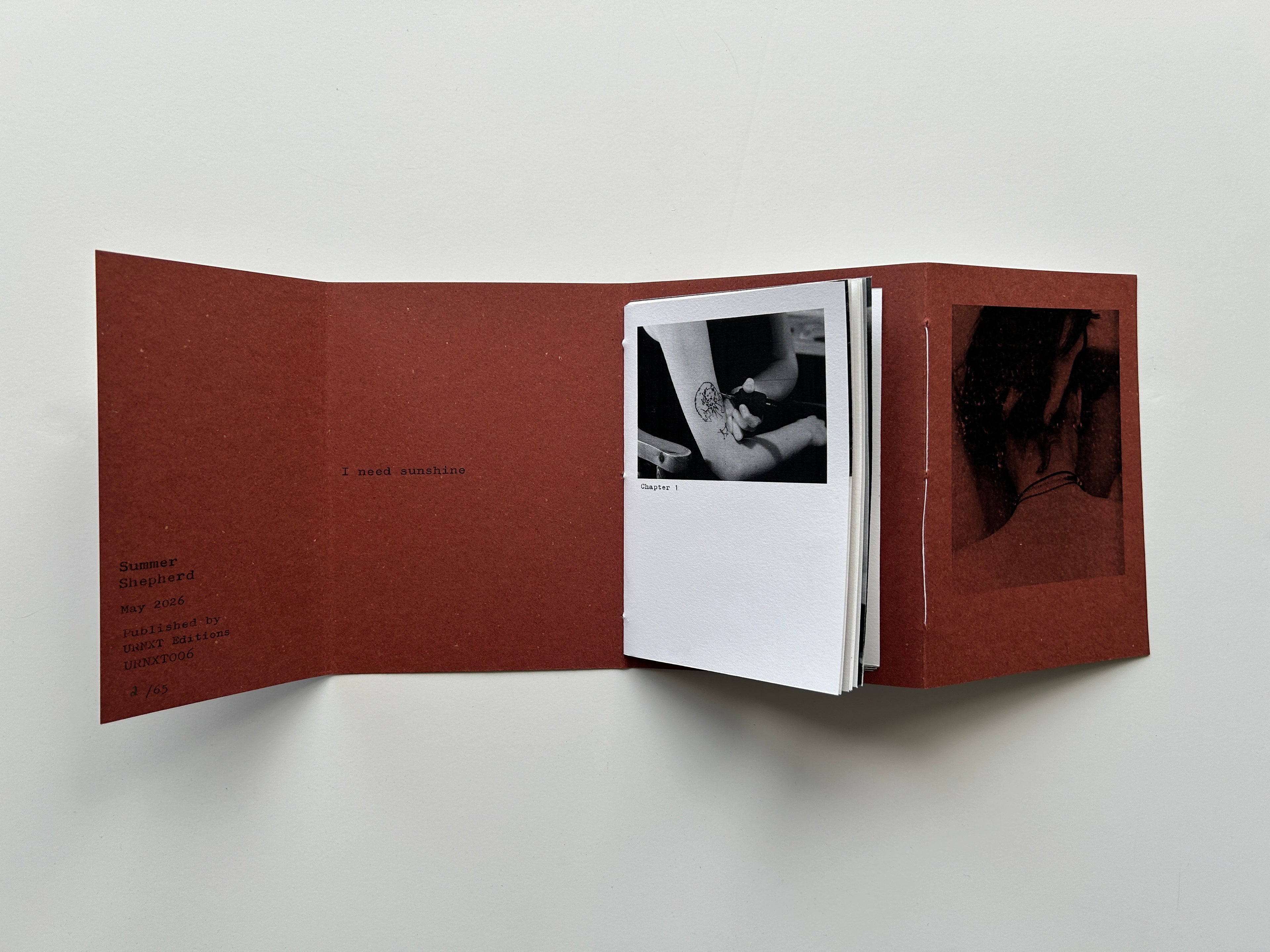 'We Move Slowly in the Mornings' Finalised Publication