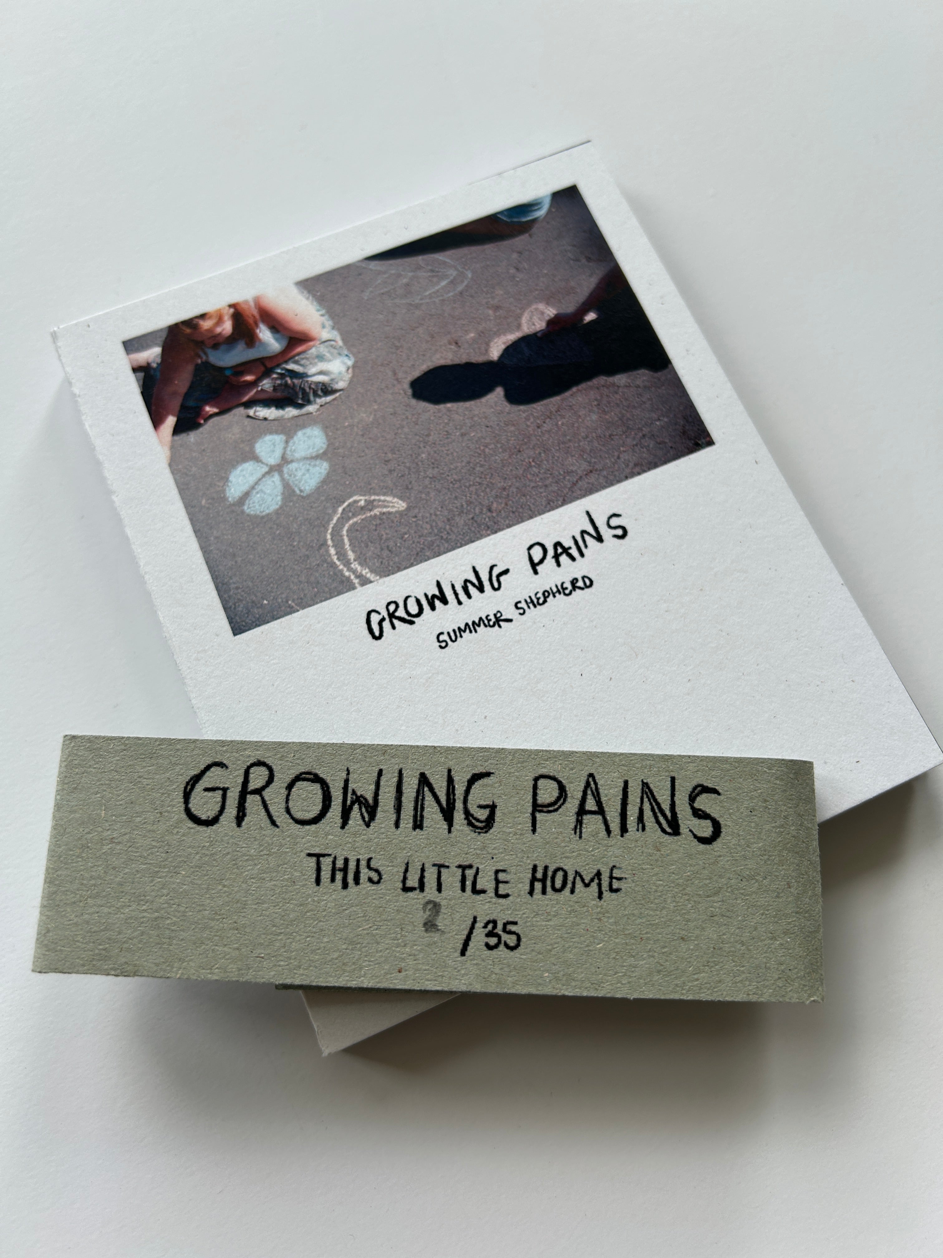 'Growing Pains' Concertina Zine