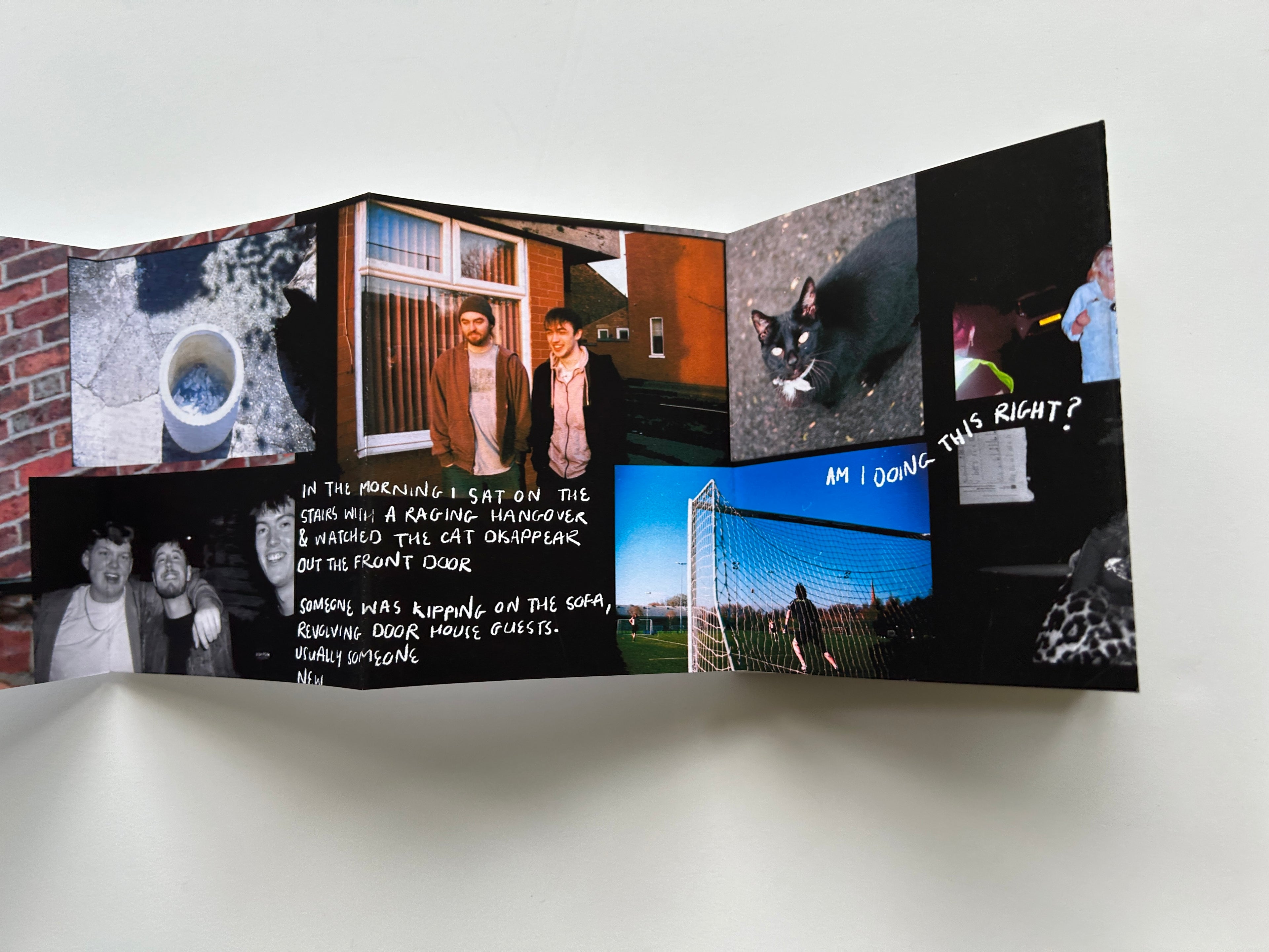 'Growing Pains' Concertina Zine